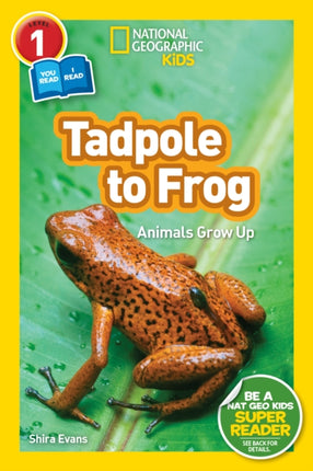 National Geographic Readers: Tadpole to Frog (L1/Co-reader)