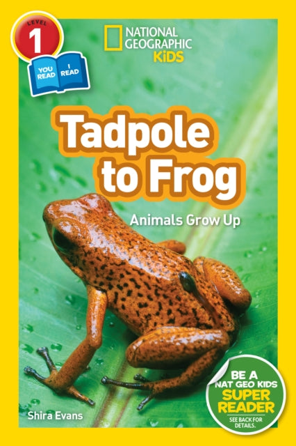 National Geographic Readers: Tadpole to Frog (L1/Co-reader)