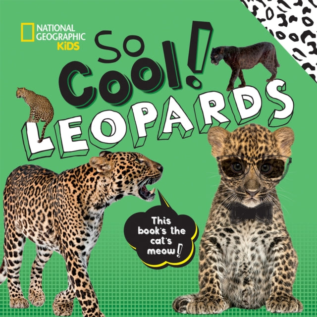 So Cool! Leopards