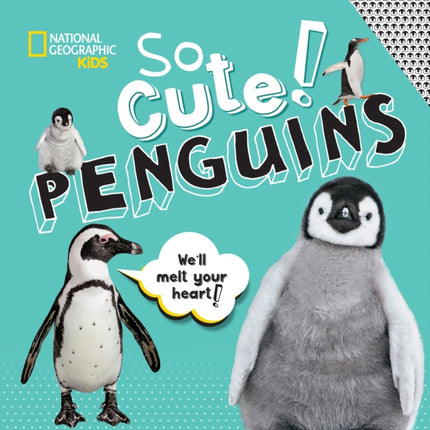 So Cute: Penguins