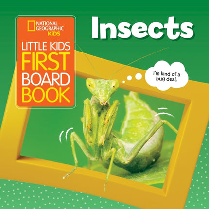 Little Kids First Board Book Insects (National Geographic Kids)