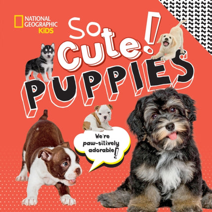 So Cute! Puppies (National Geographic Kids)