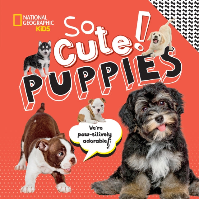 So Cute! Puppies (National Geographic Kids)