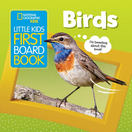 Little Kids First Board Book: Birds (First Board Books)