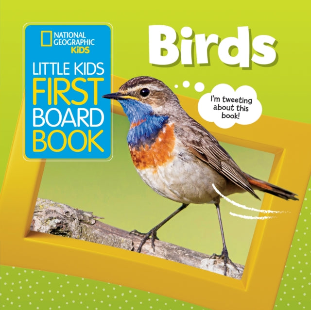 Little Kids First Board Book: Birds (First Board Books)