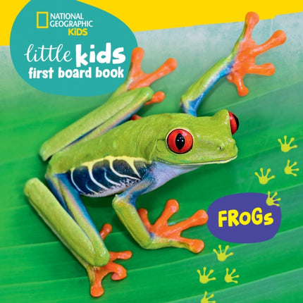 Little Kids First Board Book Frogs