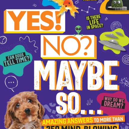 Yes No Maybe So...