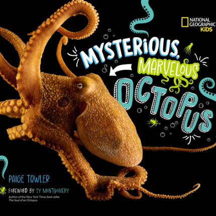 Mysterious Marvelous Octopus