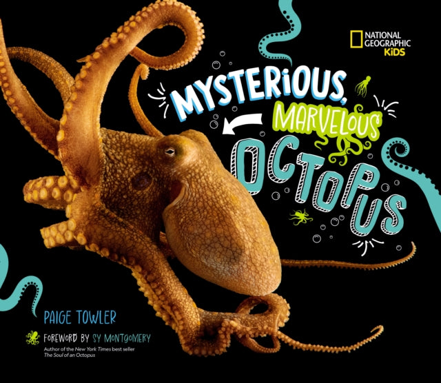 Mysterious Marvelous Octopus