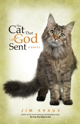 Cat That God Sent The