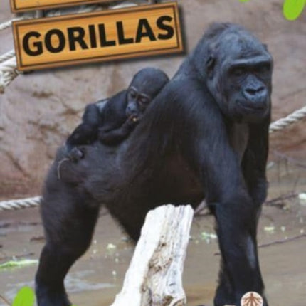 Gorillas