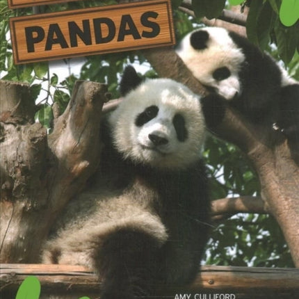 Pandas