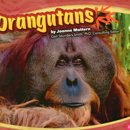 Orangutans (Asian Animals)