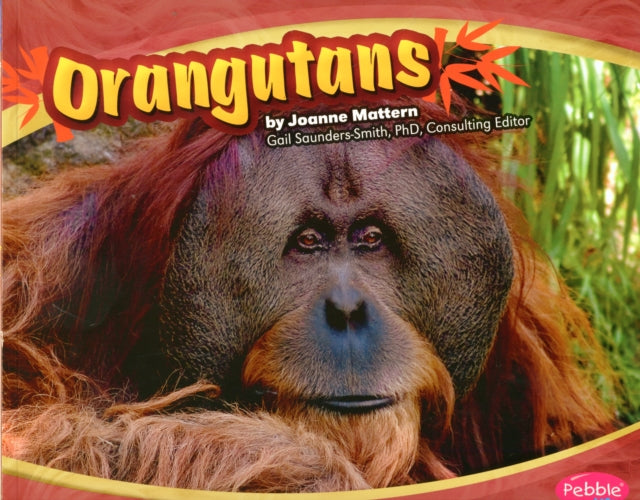 Orangutans (Asian Animals)