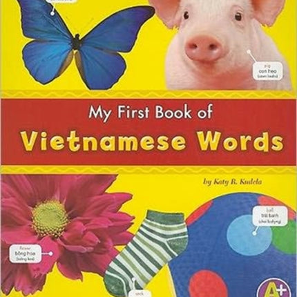 My First Book of Vietnamese Words