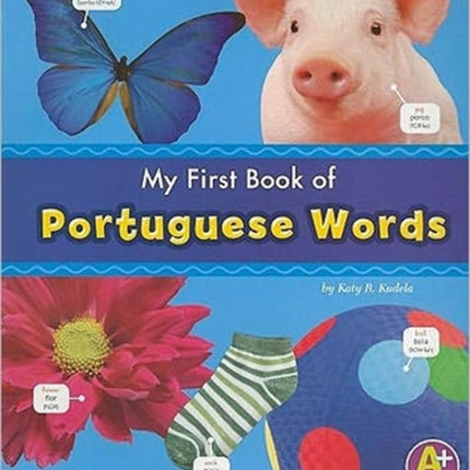 Portuguese Words