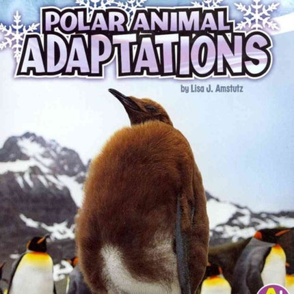 Polar Animal Adaptations (Amazing Animal Adaptations)