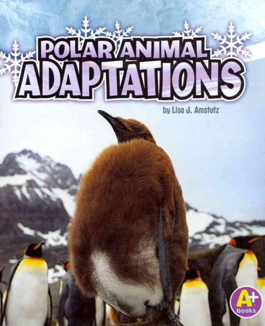 Polar Animal Adaptations (Amazing Animal Adaptations)