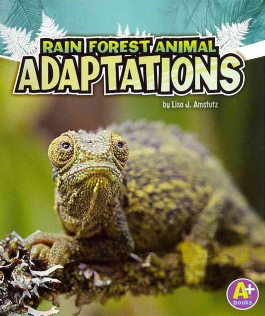 Rain Forest Animal Adaptations (Amazing Animal Adaptations)