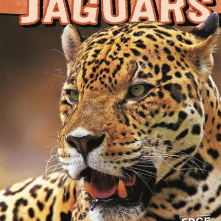 Jaguars