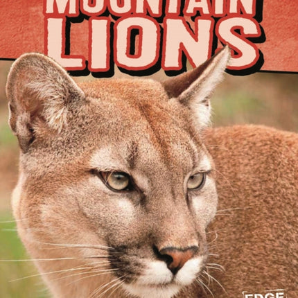 Mountain Lions