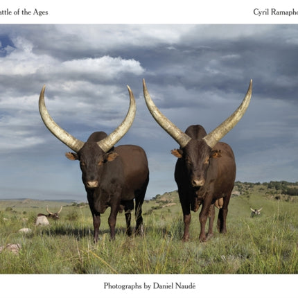 Cattle of the Ages: Ankole cattle in South Africa