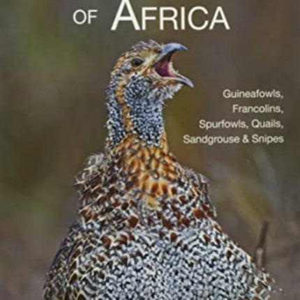 Gamebirds of Africa: Guineafowls, Francolins, Spurfowls, Quails, Sandgrouse & Snipes