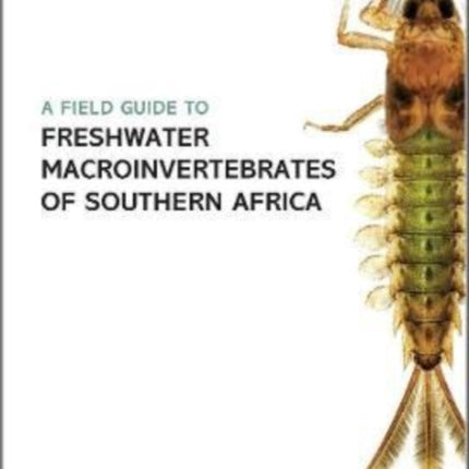 Field Guide to the Freshwater Macroinvertebrates of Southern Africa