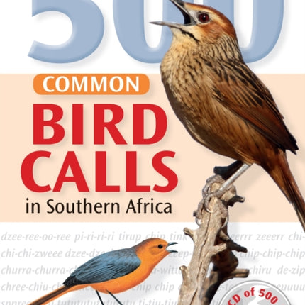 500 Common Bird Calls in Southern Africa With CD Audio Book  CD