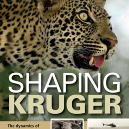 Shaping Kruger