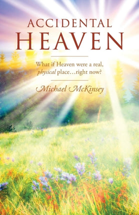Accidental Heaven What If Heaven Were a Real Physical PlaceRight Now