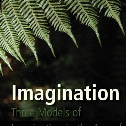 Imagination: Three Models of Imagination in the Age of the Knowledge Economy