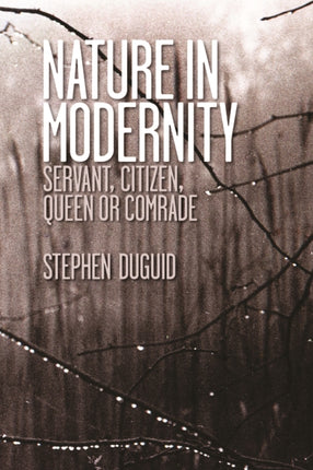 Nature in Modernity