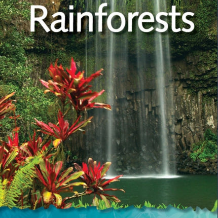 Rainforests