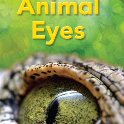 Animal Eyes