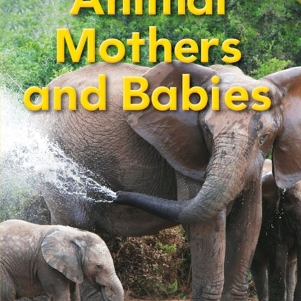 Animal Mothers and Babies