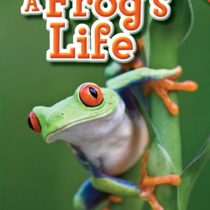 A Frog's Life