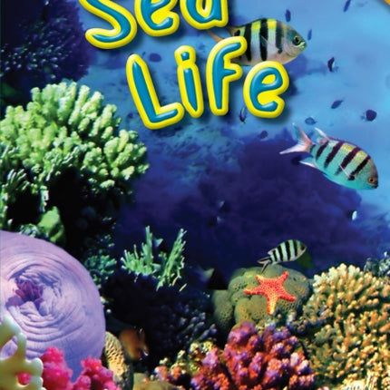 Sea Life