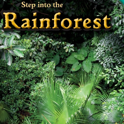 Step into the Rainforest