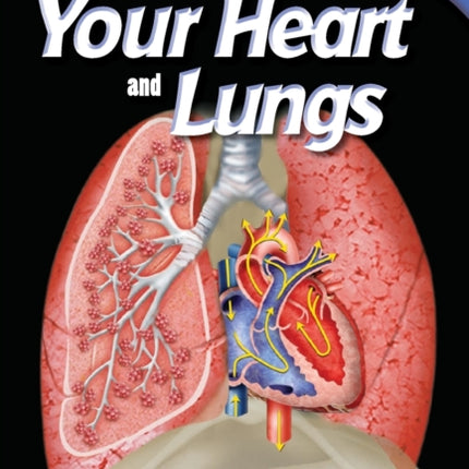 Look Inside: Your Heart and Lungs