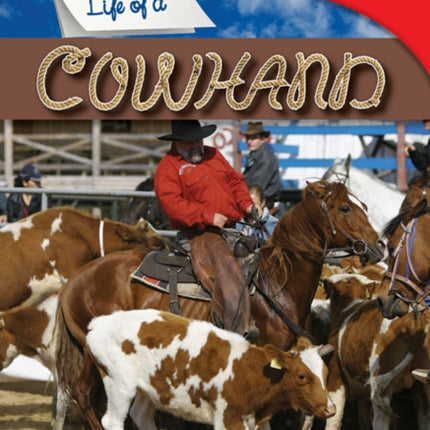 A Day in the Life of a Cowhand