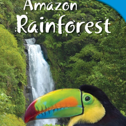 Amazon Rainforest