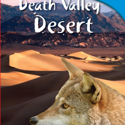 Death Valley Desert