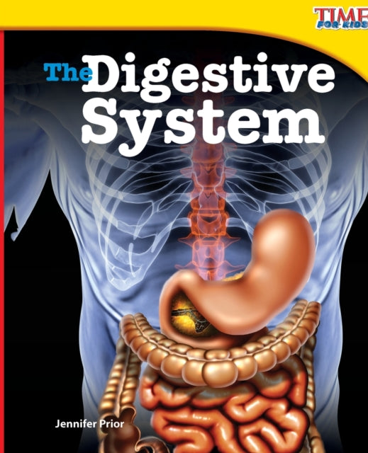 The Digestive System