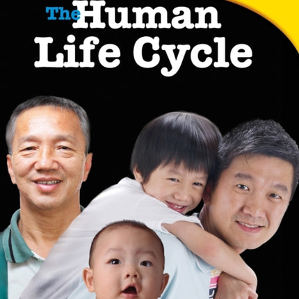 The Human Life Cycle