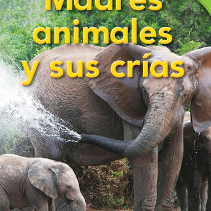 Madres animales y sus crías