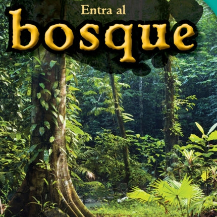 Entra al bosque