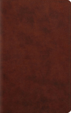 ESV Large Print Personal Size Bible