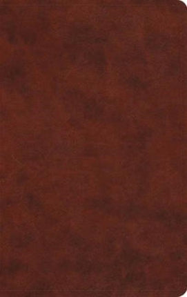 ESV Large Print Value Thinline Bible