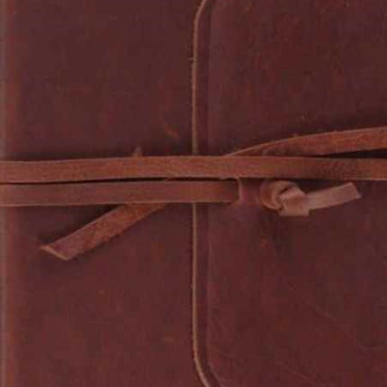 ESV Single Column Journaling Bible, Large Print